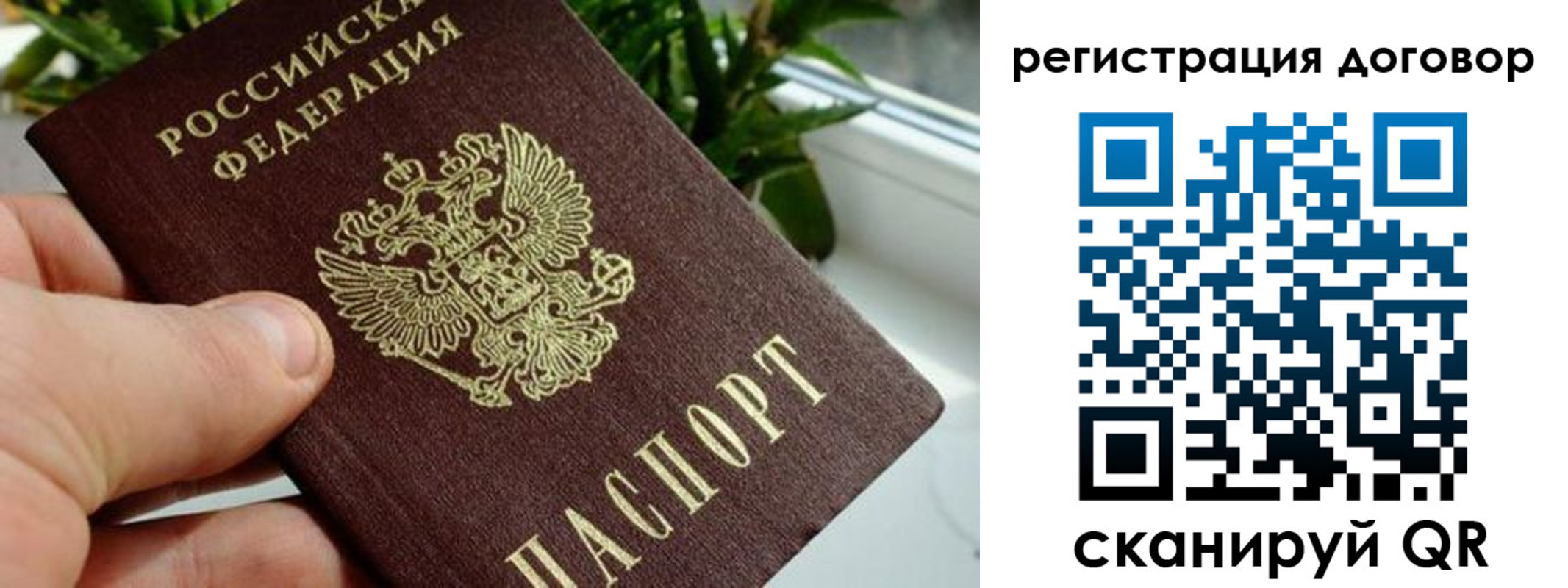 прописка ребенка в Щучье